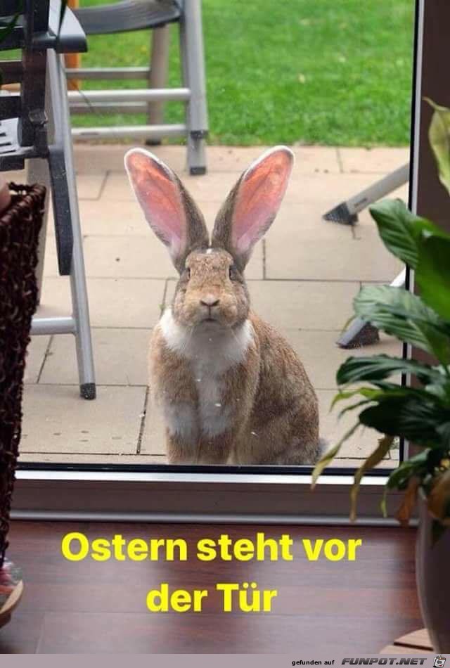 Ostern Ostern