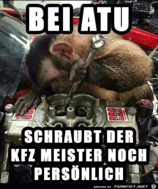 Der Meister persönlich Der Meister persönlich