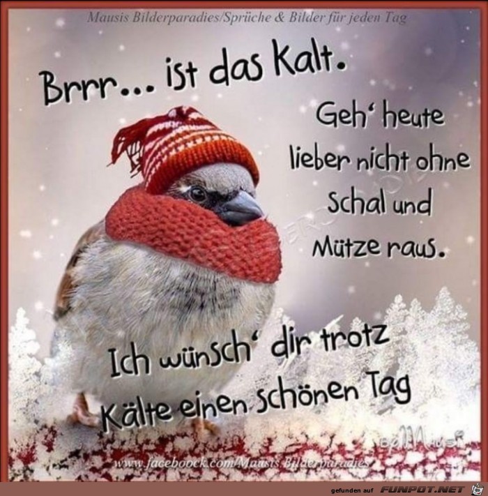 Kalt Kalt