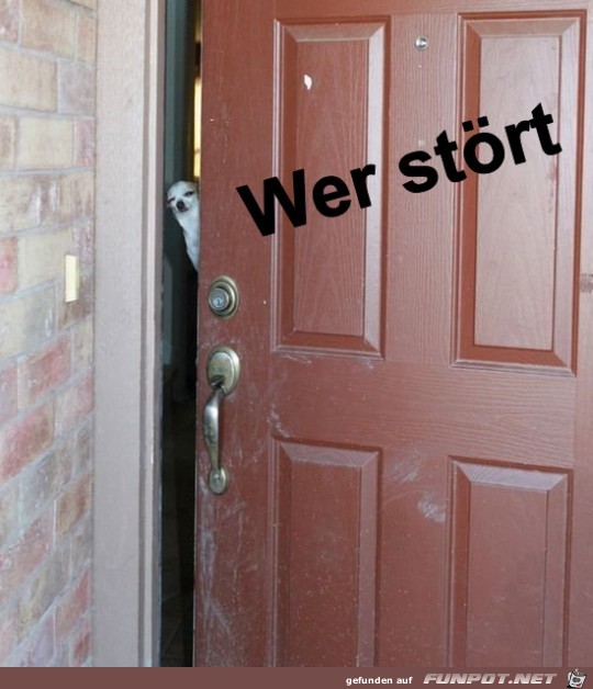 Wer strt