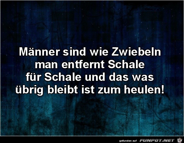 Männer sind wie Zwiebeln Männer sind wie Zwiebeln