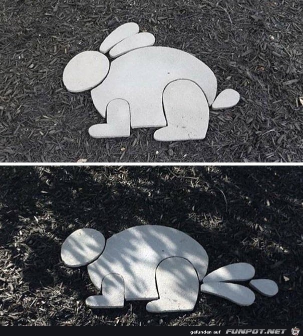 Hasi hat Flitze Hasi hat Flitze