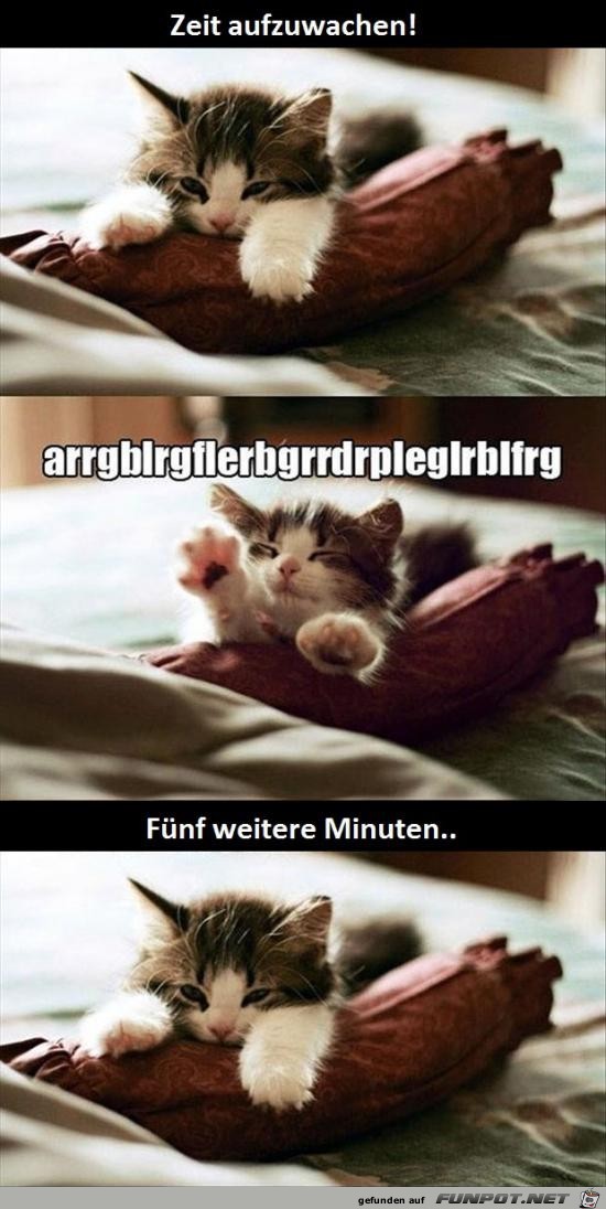 Ich bleib liegen Ich bleib liegen