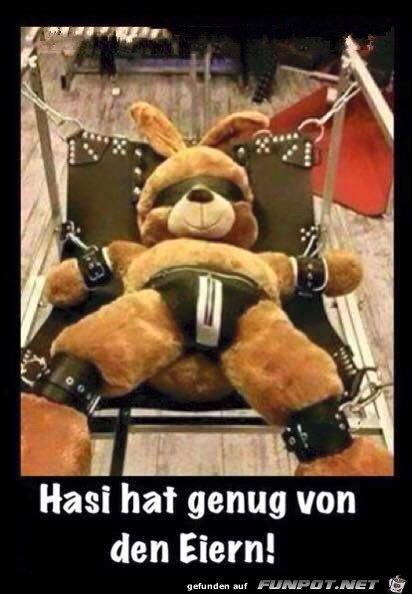 Hasi Hasi