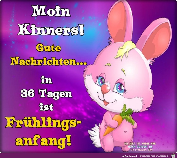 Gute Nachrichten Gute Nachrichten