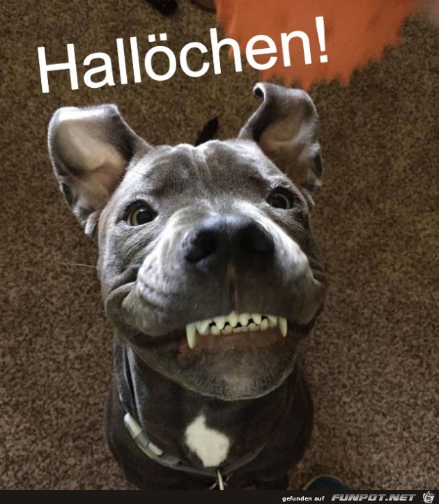 Hallöchen Hallöchen