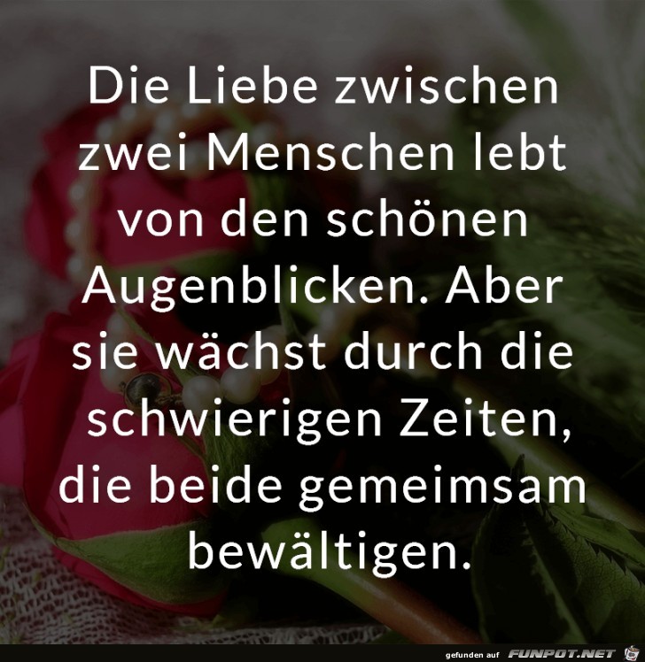 Die Liebe