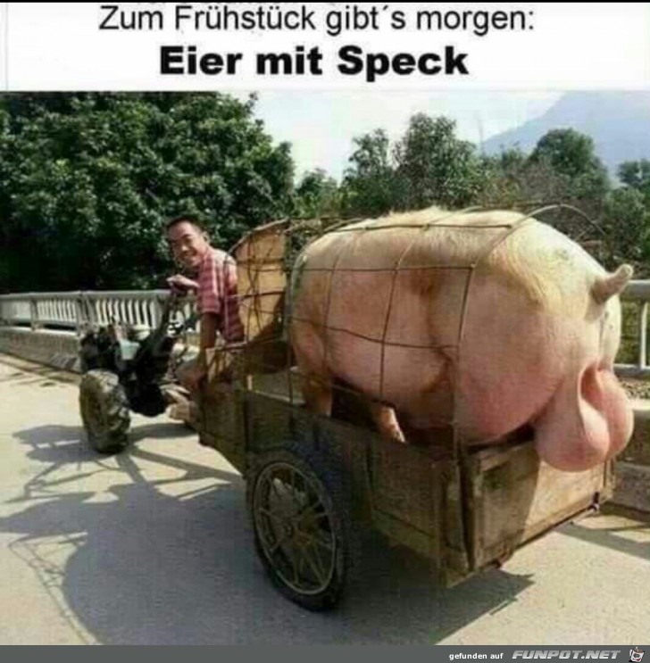 Eier mit Speck