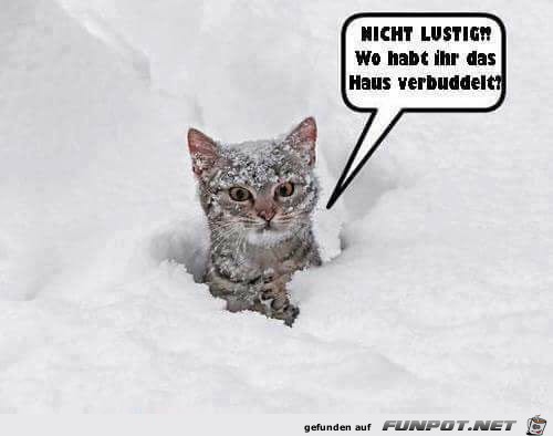 Wo ist das Haus Wo ist das Haus