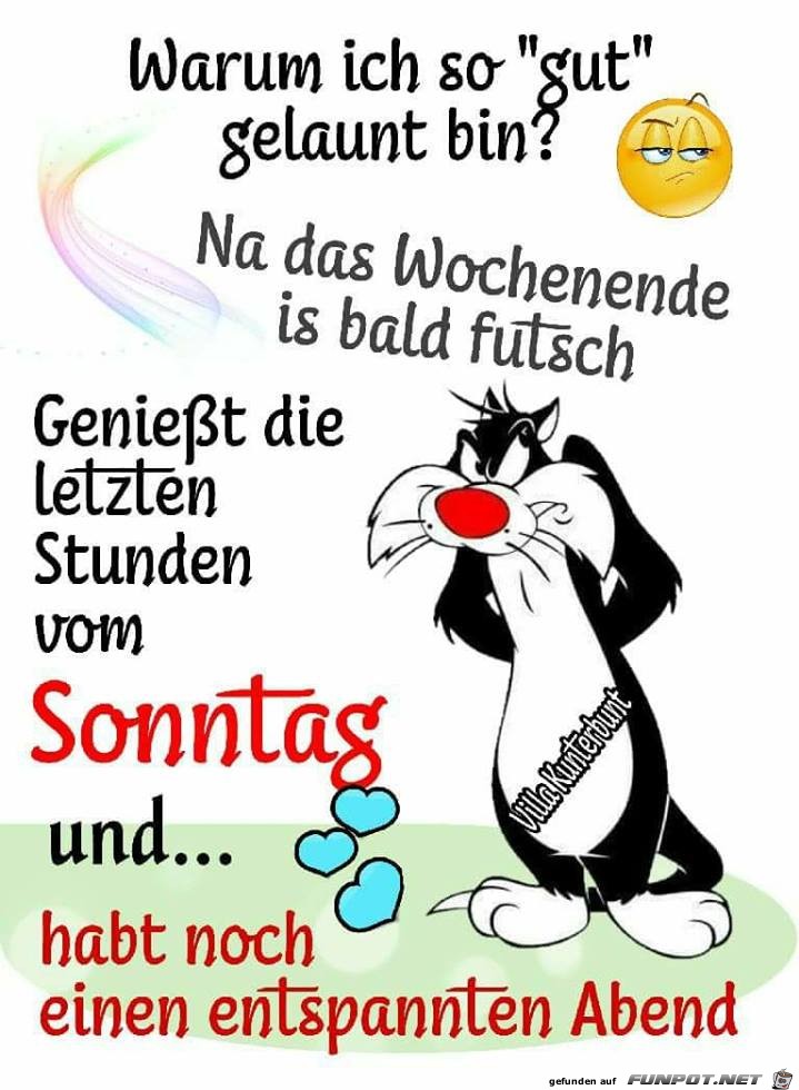 Warum ich so gut gelaunt bin Warum ich so gut gelaunt bin