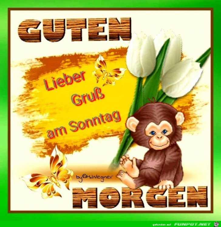 Lieber Gruss am Sonntag