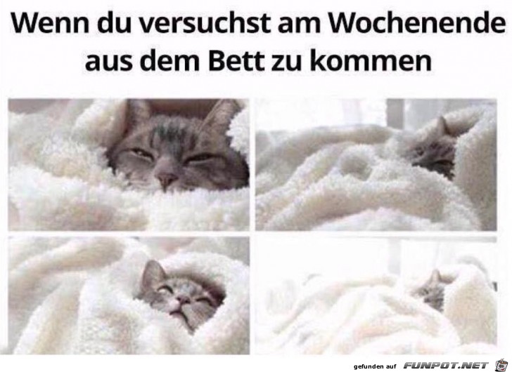 Ich bleib liegen Ich bleib liegen