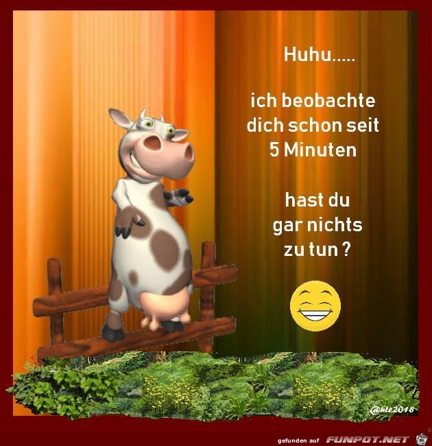 Beobachte dich schon 5 Minuten Beobachte dich schon 5 Minuten