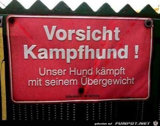 Kampfhund Kampfhund
