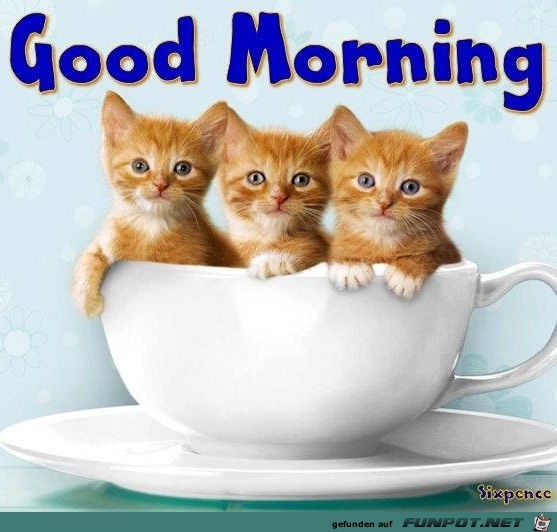 Guten Morgen Guten Morgen