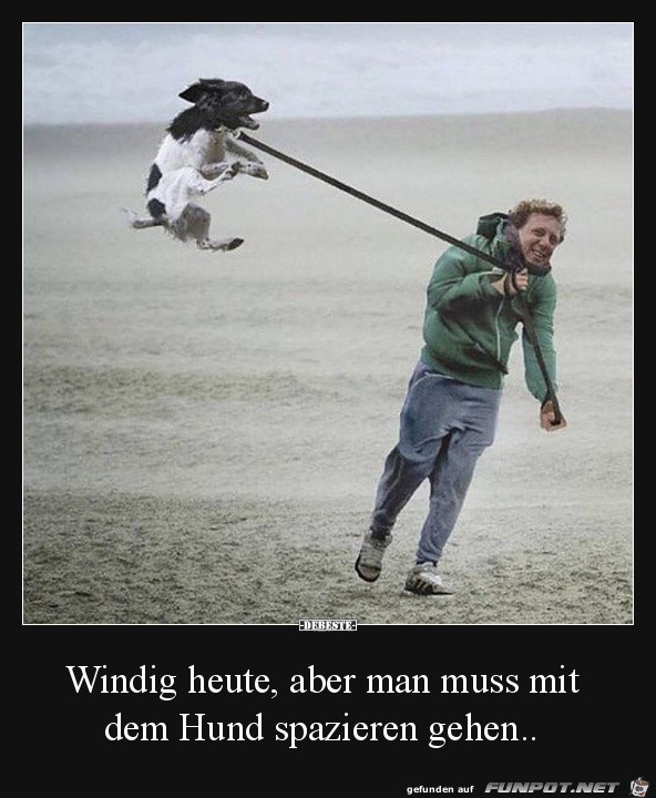 Windig Windig