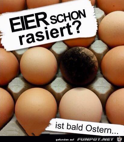 Eier schon rasiert