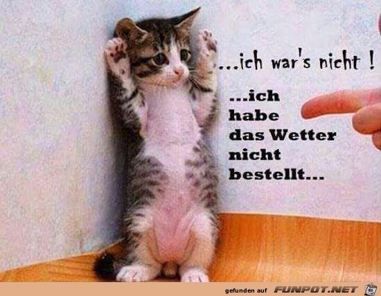 Ich war das nicht Ich war das nicht