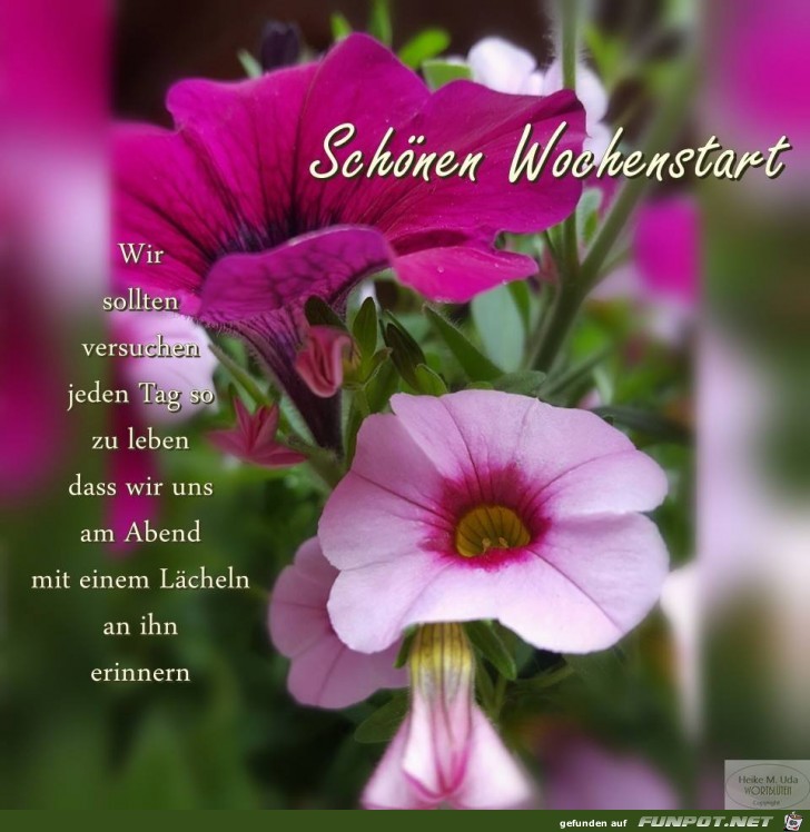 Schoenen Wochenstart