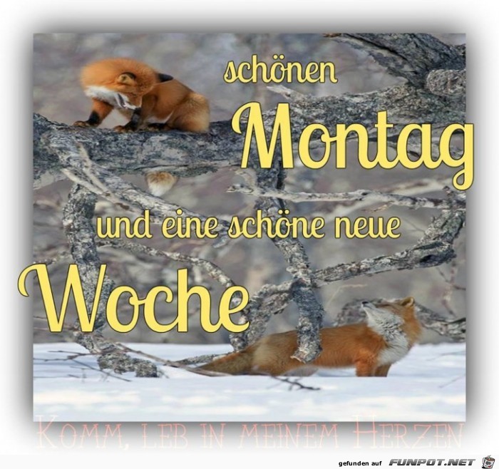 Schoenen Montag