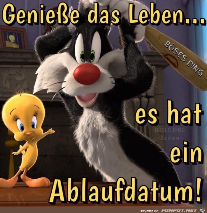 Geniesse das Leben Geniesse das Leben