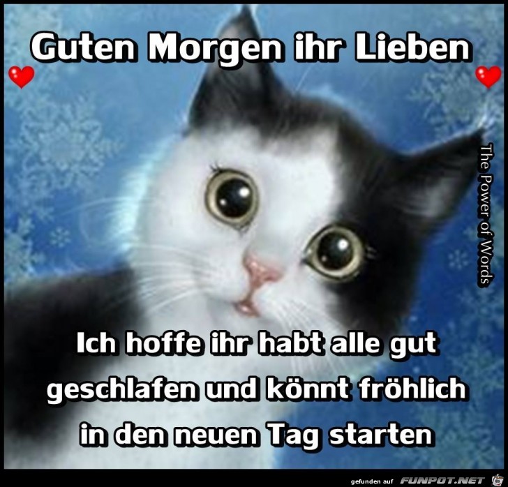 Guten Morgen ihr Lieben