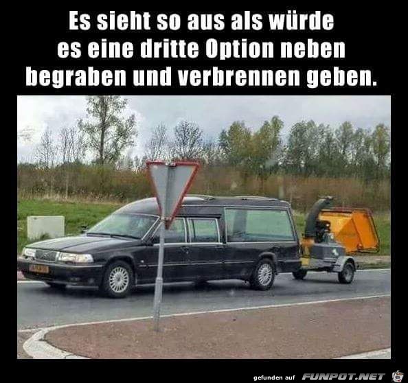 Dritte Option Dritte Option