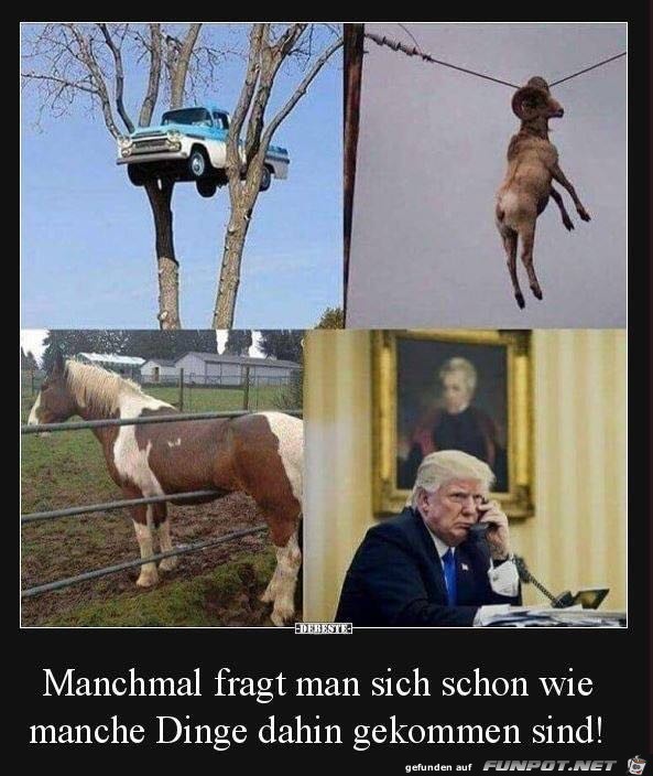 Manchmal fragt man sich schon.... Manchmal fragt man sich schon....