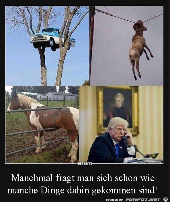 Manchmal fragt man sich schon....