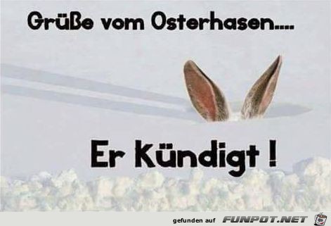 Der Osterhase