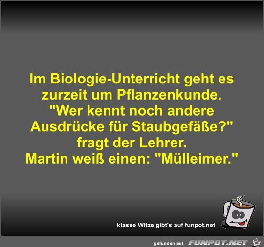Im Biologie-Unterricht geht es zurzeit um Pflanzenkunde Im Biologie-Unterricht geht es zurzeit um Pflanzenkunde