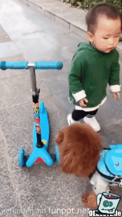 talentierter Hund talentierter Hund