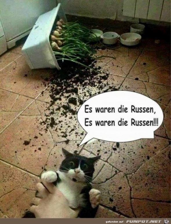 Die Russen Die Russen