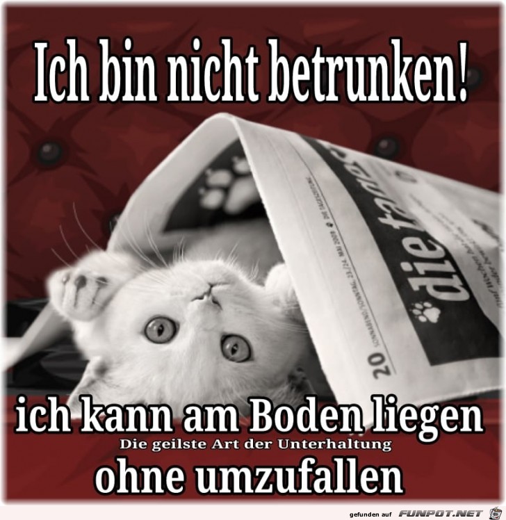 Bin nicht betrunken Bin nicht betrunken