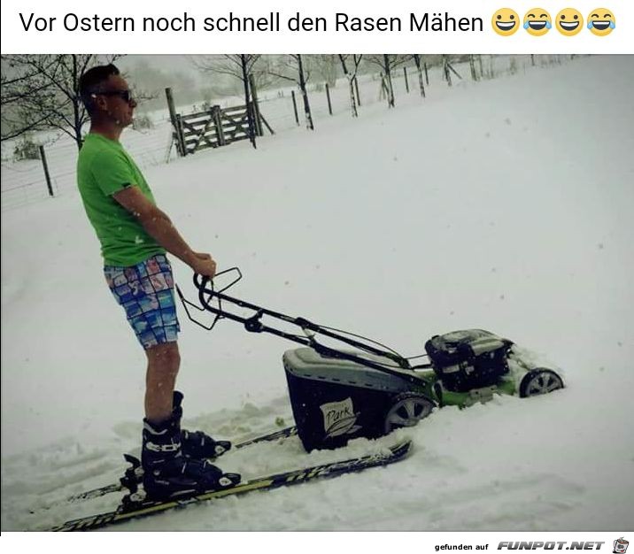 Vor Ostern noch schnell den Rasen mähen.... Vor Ostern noch schnell den Rasen mähen....