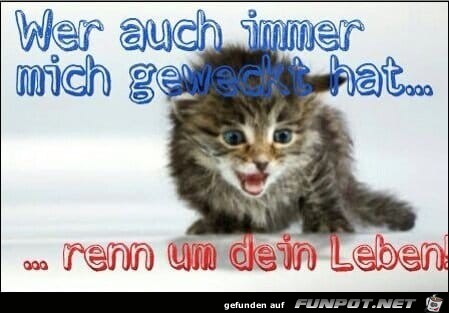 wer hat mich geweckt wer hat mich geweckt