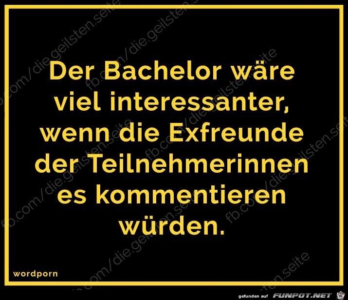 Bachelor Bachelor