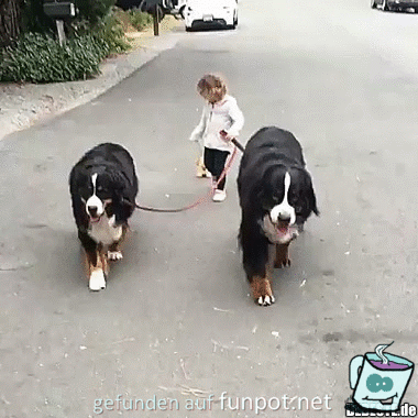 Wer führt da wen aus? Wer führt da wen aus?