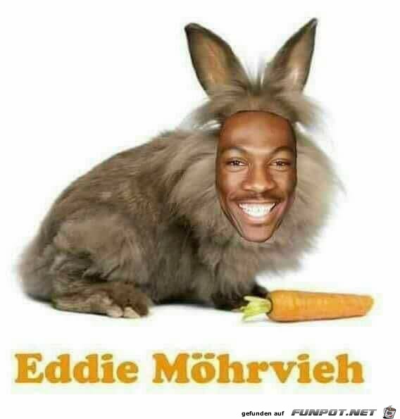 Eddie Eddie