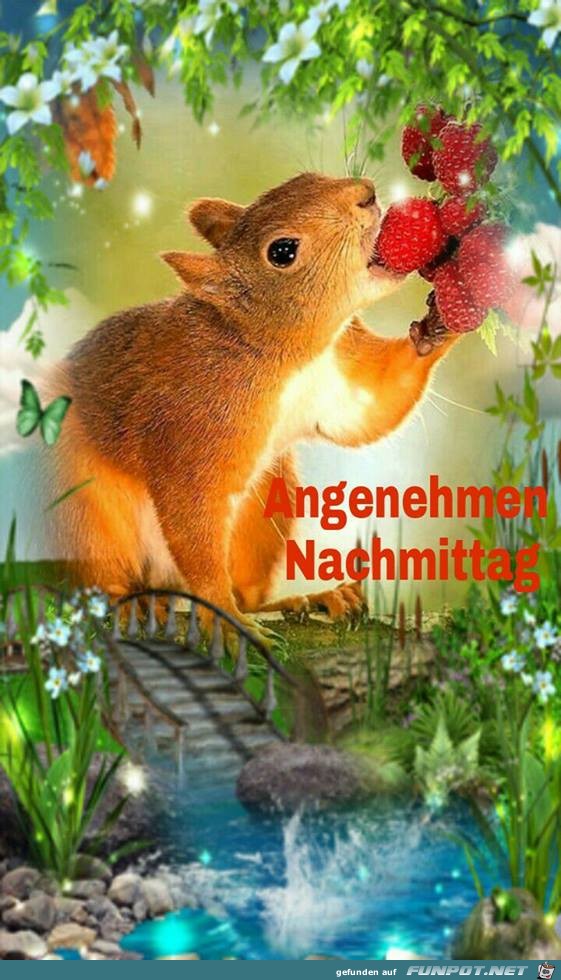 Angenehmen Nachmittag Angenehmen Nachmittag