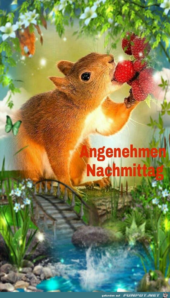 Angenehmen Nachmittag