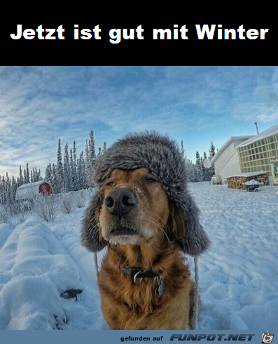 Jetzt ist gut Jetzt ist gut