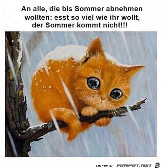 Der Sommer kommt nicht