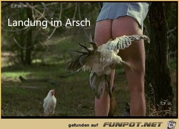 Landung... Landung...