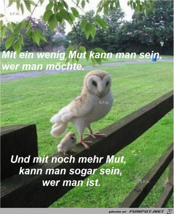 Mut Mut
