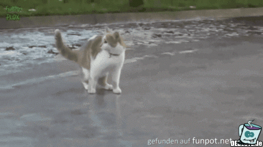 Es ist glatt Es ist glatt