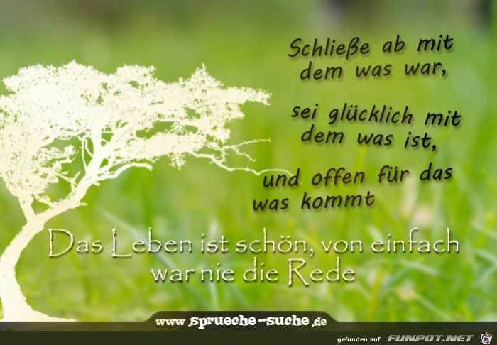 das-leben-ist-schoen-von-einfach-war-nie-die-rede das-leben-ist-schoen-von-einfach-war-nie-die-rede