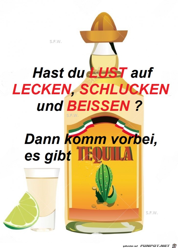 Tequila Tequila