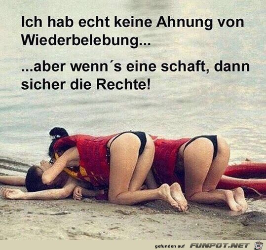 Wiederbelebung Wiederbelebung