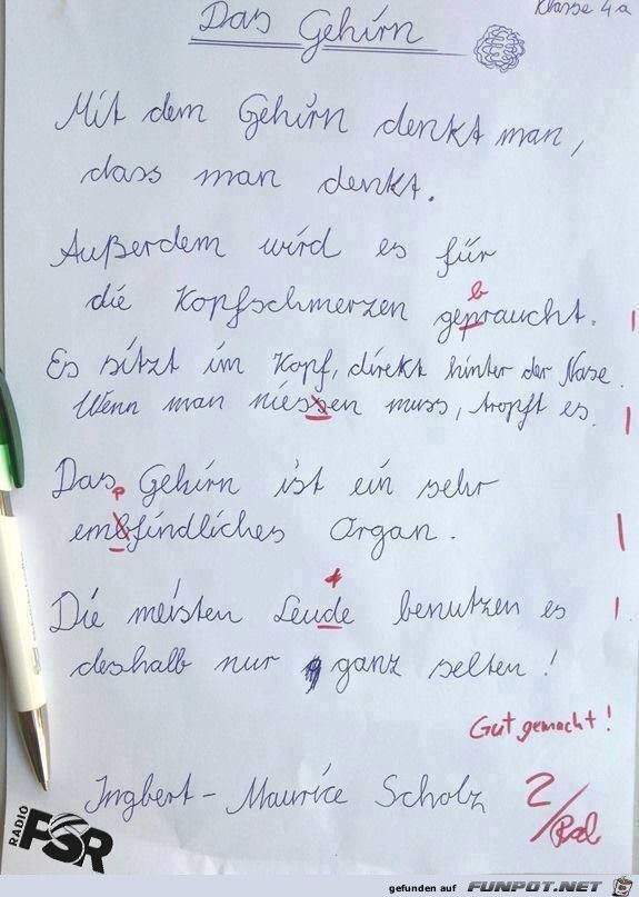 Das Gehirn Das Gehirn